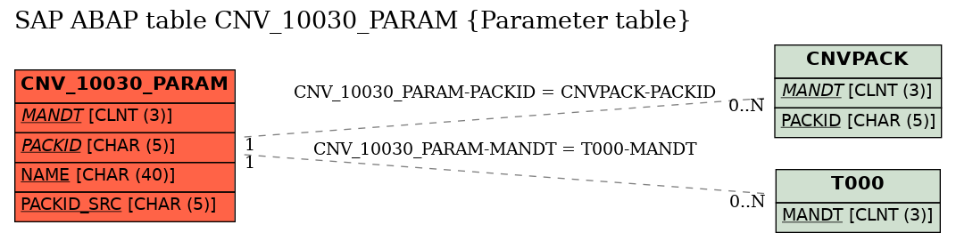 E-R Diagram for table CNV_10030_PARAM (Parameter table)