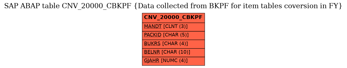 E-R Diagram for table CNV_20000_CBKPF (Data collected from BKPF for item tables coversion in FY)