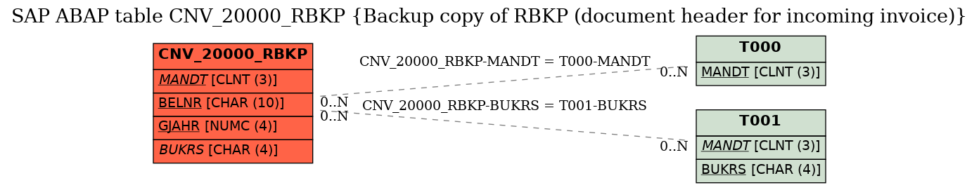 E-R Diagram for table CNV_20000_RBKP (Backup copy of RBKP (document header for incoming invoice))