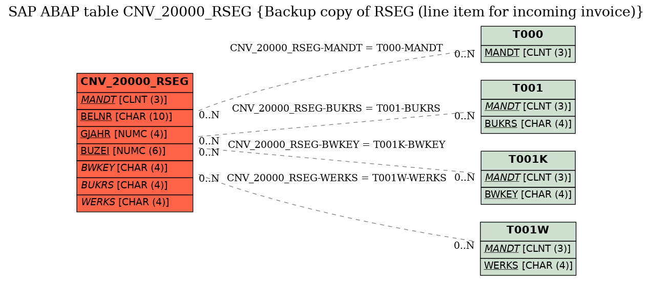 E-R Diagram for table CNV_20000_RSEG (Backup copy of RSEG (line item for incoming invoice))