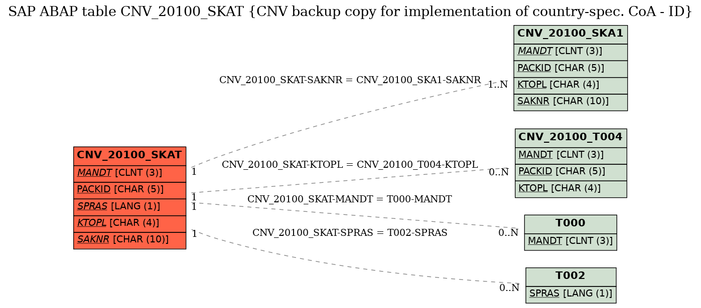 E-R Diagram for table CNV_20100_SKAT (CNV backup copy for implementation of country-spec. CoA - ID)