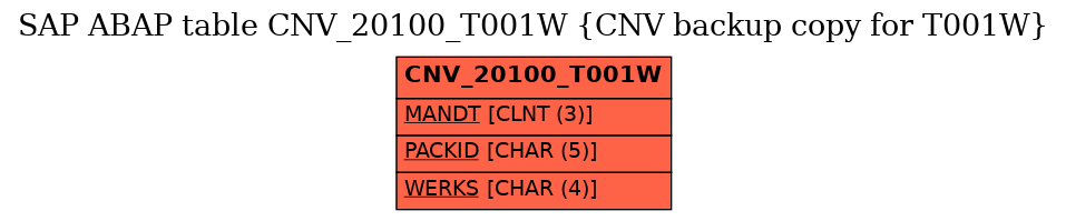 E-R Diagram for table CNV_20100_T001W (CNV backup copy for T001W)