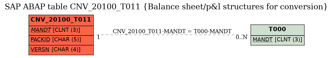 E-R Diagram for table CNV_20100_T011 (Balance sheet/p&l structures for conversion)