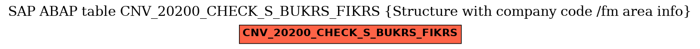 E-R Diagram for table CNV_20200_CHECK_S_BUKRS_FIKRS (Structure with company code /fm area info)