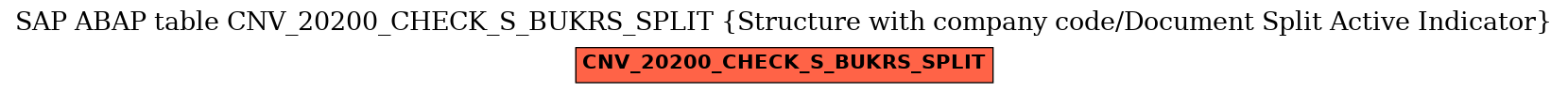 E-R Diagram for table CNV_20200_CHECK_S_BUKRS_SPLIT (Structure with company code/Document Split Active Indicator)