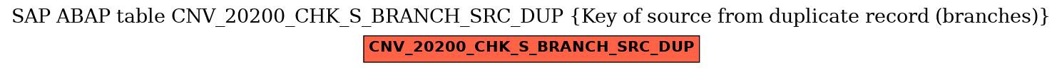 E-R Diagram for table CNV_20200_CHK_S_BRANCH_SRC_DUP (Key of source from duplicate record (branches))
