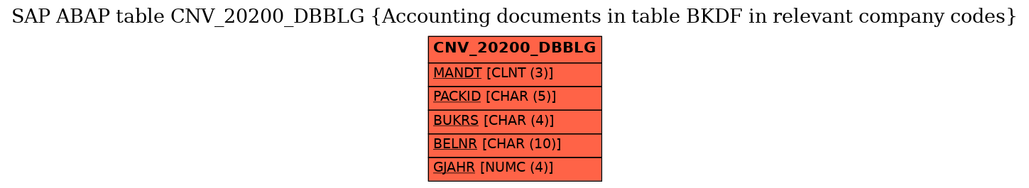 E-R Diagram for table CNV_20200_DBBLG (Accounting documents in table BKDF in relevant company codes)