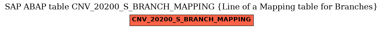 E-R Diagram for table CNV_20200_S_BRANCH_MAPPING (Line of a Mapping table for Branches)