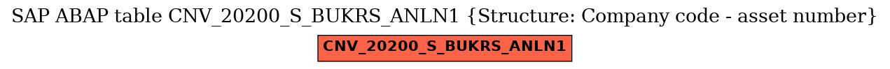 E-R Diagram for table CNV_20200_S_BUKRS_ANLN1 (Structure: Company code - asset number)