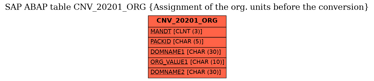 E-R Diagram for table CNV_20201_ORG (Assignment of the org. units before the conversion)