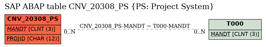 E-R Diagram for table CNV_20308_PS (PS: Project System)