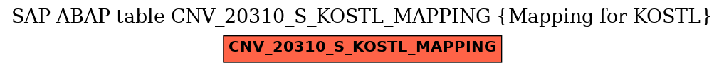 E-R Diagram for table CNV_20310_S_KOSTL_MAPPING (Mapping for KOSTL)