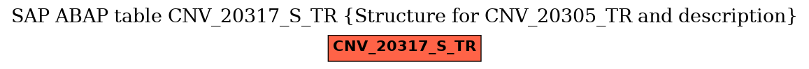E-R Diagram for table CNV_20317_S_TR (Structure for CNV_20305_TR and description)