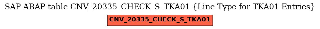 E-R Diagram for table CNV_20335_CHECK_S_TKA01 (Line Type for TKA01 Entries)