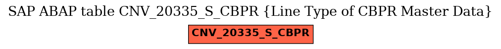 E-R Diagram for table CNV_20335_S_CBPR (Line Type of CBPR Master Data)