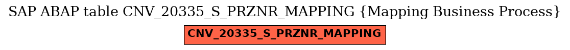 E-R Diagram for table CNV_20335_S_PRZNR_MAPPING (Mapping Business Process)