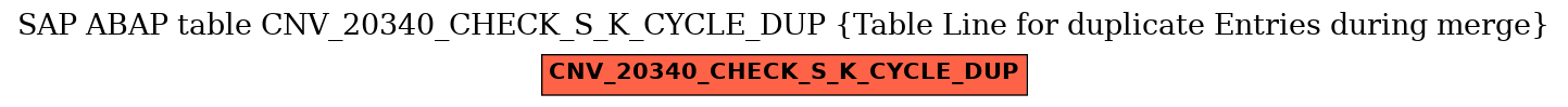 E-R Diagram for table CNV_20340_CHECK_S_K_CYCLE_DUP (Table Line for duplicate Entries during merge)