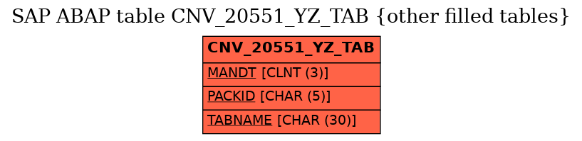 E-R Diagram for table CNV_20551_YZ_TAB (other filled tables)