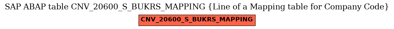 E-R Diagram for table CNV_20600_S_BUKRS_MAPPING (Line of a Mapping table for Company Code)