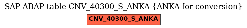 E-R Diagram for table CNV_40300_S_ANKA (ANKA for conversion)