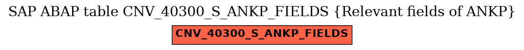 E-R Diagram for table CNV_40300_S_ANKP_FIELDS (Relevant fields of ANKP)