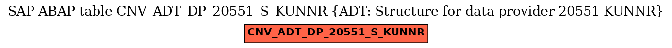 E-R Diagram for table CNV_ADT_DP_20551_S_KUNNR (ADT: Structure for data provider 20551 KUNNR)