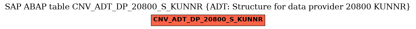 E-R Diagram for table CNV_ADT_DP_20800_S_KUNNR (ADT: Structure for data provider 20800 KUNNR)
