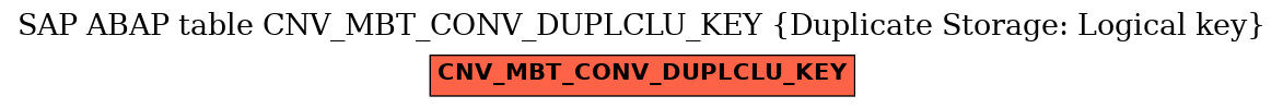 E-R Diagram for table CNV_MBT_CONV_DUPLCLU_KEY (Duplicate Storage: Logical key)