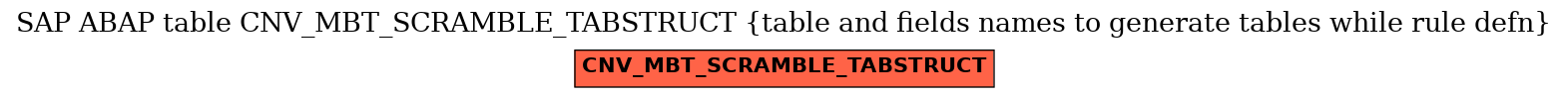 E-R Diagram for table CNV_MBT_SCRAMBLE_TABSTRUCT (table and fields names to generate tables while rule defn)