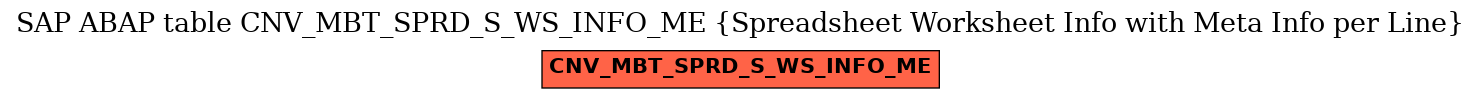 E-R Diagram for table CNV_MBT_SPRD_S_WS_INFO_ME (Spreadsheet Worksheet Info with Meta Info per Line)