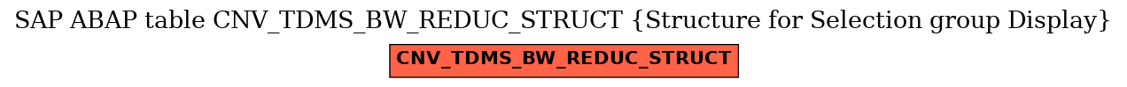 E-R Diagram for table CNV_TDMS_BW_REDUC_STRUCT (Structure for Selection group Display)