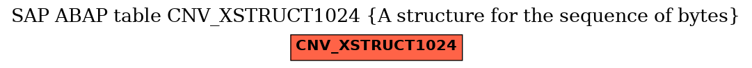 E-R Diagram for table CNV_XSTRUCT1024 (A structure for the sequence of bytes)