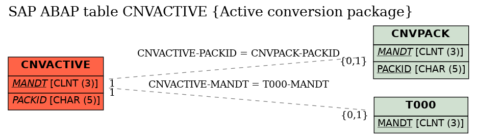 E-R Diagram for table CNVACTIVE (Active conversion package)