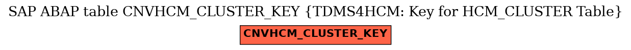 E-R Diagram for table CNVHCM_CLUSTER_KEY (TDMS4HCM: Key for HCM_CLUSTER Table)