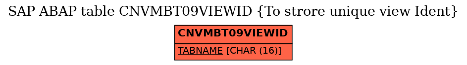 E-R Diagram for table CNVMBT09VIEWID (To strore unique view Ident)