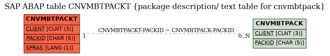 E-R Diagram for table CNVMBTPACKT (package description/ text table for cnvmbtpack)