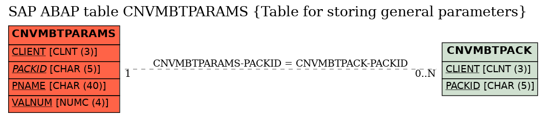 E-R Diagram for table CNVMBTPARAMS (Table for storing general parameters)