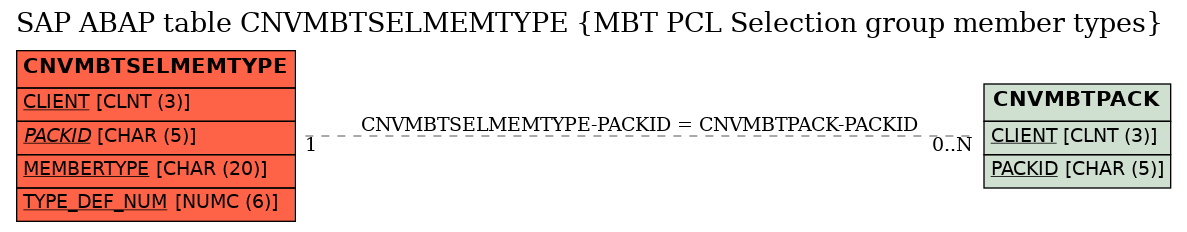 E-R Diagram for table CNVMBTSELMEMTYPE (MBT PCL Selection group member types)