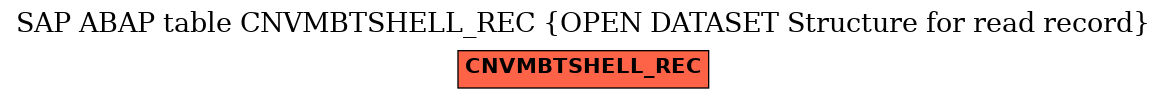 E-R Diagram for table CNVMBTSHELL_REC (OPEN DATASET Structure for read record)