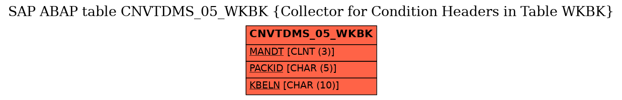 E-R Diagram for table CNVTDMS_05_WKBK (Collector for Condition Headers in Table WKBK)