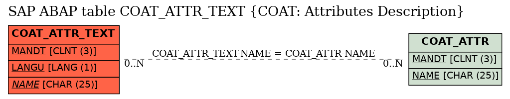 E-R Diagram for table COAT_ATTR_TEXT (COAT: Attributes Description)