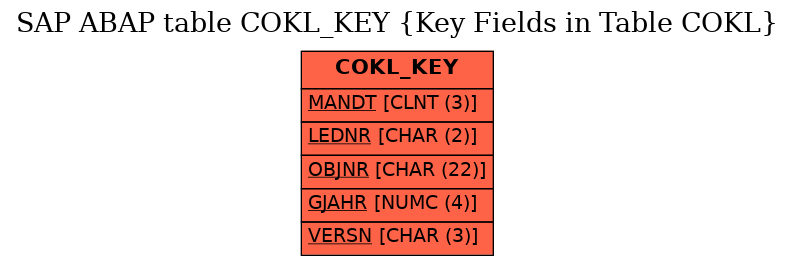 E-R Diagram for table COKL_KEY (Key Fields in Table COKL)