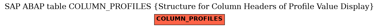 E-R Diagram for table COLUMN_PROFILES (Structure for Column Headers of Profile Value Display)