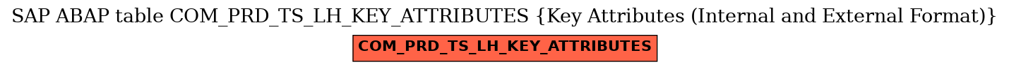 E-R Diagram for table COM_PRD_TS_LH_KEY_ATTRIBUTES (Key Attributes (Internal and External Format))