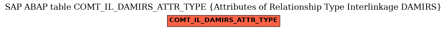 E-R Diagram for table COMT_IL_DAMIRS_ATTR_TYPE (Attributes of Relationship Type Interlinkage DAMIRS)