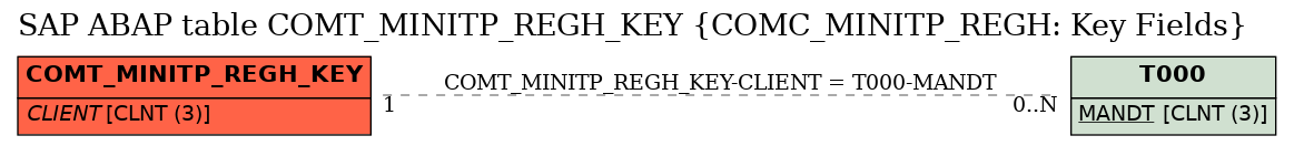 E-R Diagram for table COMT_MINITP_REGH_KEY (COMC_MINITP_REGH: Key Fields)