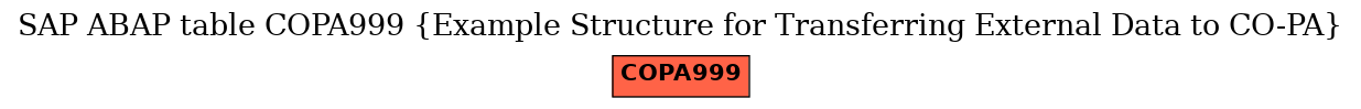 E-R Diagram for table COPA999 (Example Structure for Transferring External Data to CO-PA)