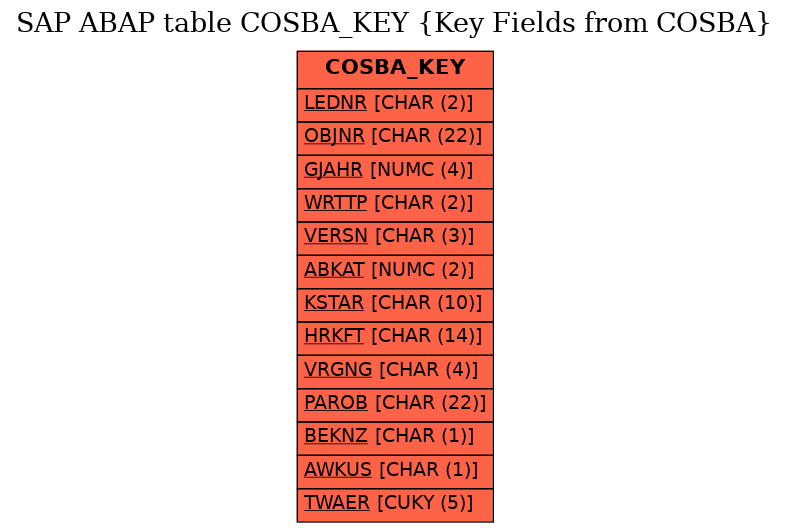 E-R Diagram for table COSBA_KEY (Key Fields from COSBA)