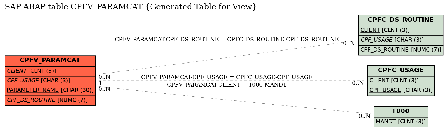 E-R Diagram for table CPFV_PARAMCAT (Generated Table for View)