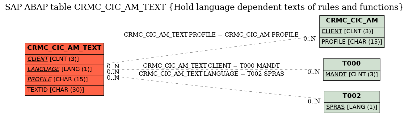 E-R Diagram for table CRMC_CIC_AM_TEXT (Hold language dependent texts of rules and functions)
